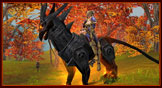 Experience in Public Relations,
Community Management, Marketing ,Gaming